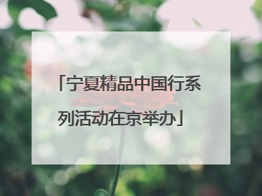 宁夏精品中国行系列活动在京举办