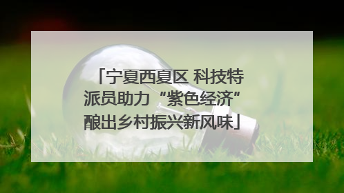 宁夏西夏区 科技特派员助力“紫色经济”酿出乡村振兴新风味