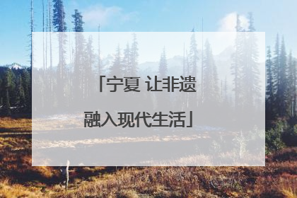 宁夏 让非遗融入现代生活