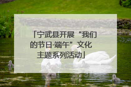 宁武县开展“我们的节日·端午”文化主题系列活动