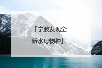 宁波发现全新水母物种