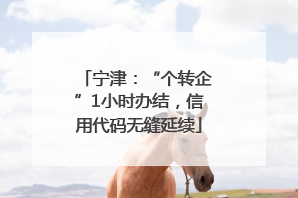 宁津：“个转企”1小时办结，信用代码无缝延续