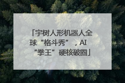 宇树人形机器人全球“格斗秀”，AI“拳王”硬核破圈
