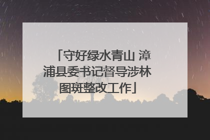 守好绿水青山 漳浦县委书记督导涉林图斑整改工作