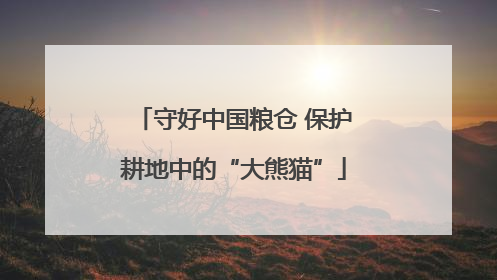 守好中国粮仓 保护耕地中的“大熊猫”