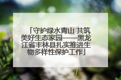 守护绿水青山 共筑美好生态家园——黑龙江省丰林县扎实推进生物多样性保护工作