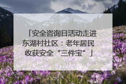 安全咨询日活动走进东湖村社区：老年居民收获安全“三件宝”