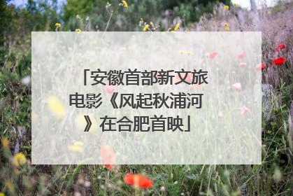安徽首部新文旅电影《风起秋浦河》在合肥首映