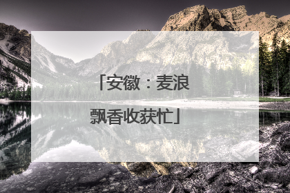 安徽：麦浪飘香收获忙