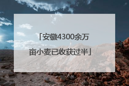 安徽4300余万亩小麦已收获过半