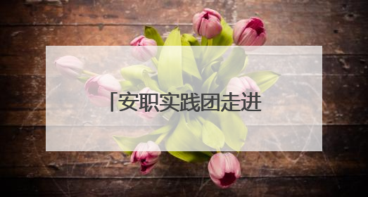 安职实践团走进西苑社区：解码六尺巷工作法的温情治理之道