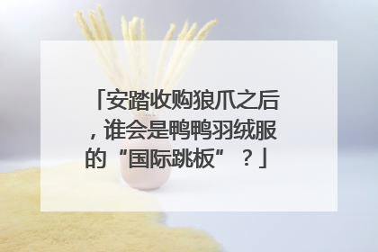 安踏收购狼爪之后，谁会是鸭鸭羽绒服的“国际跳板”？