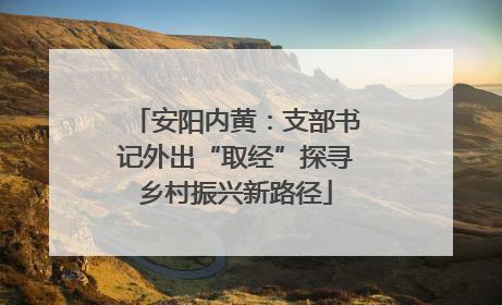安阳内黄：支部书记外出“取经”探寻乡村振兴新路径