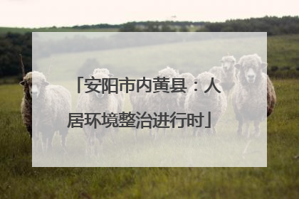 安阳市内黄县：人居环境整治进行时