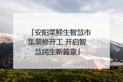 安阳菜鲜生智慧市集装修开工 开启智慧民生新篇章
