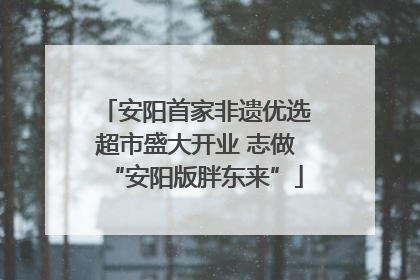 安阳首家非遗优选超市盛大开业 志做“安阳版胖东来”