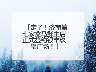 定了！济南第七家盒马鲜生店正式签约银丰玖玺广场！