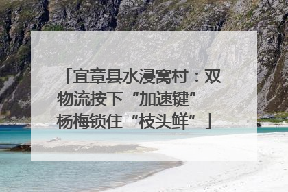 宜章县水浸窝村：双物流按下“加速键” 杨梅锁住“枝头鲜”