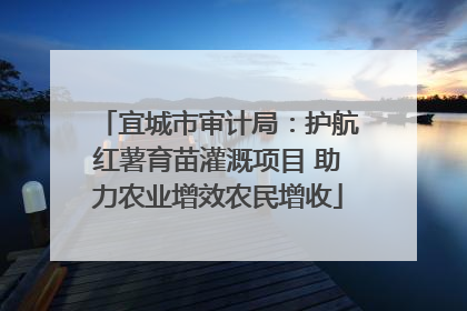宜城市审计局：护航红薯育苗灌溉项目 助力农业增效农民增收