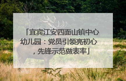 宜宾江安四面山镇中心幼儿园：党员引领亮初心，先锋示范做表率