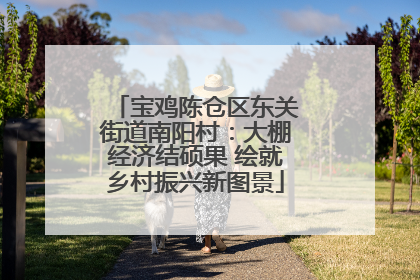 宝鸡陈仓区东关街道南阳村：大棚经济结硕果 绘就乡村振兴新图景