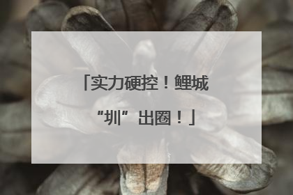实力硬控！鲤城“圳”出圈！