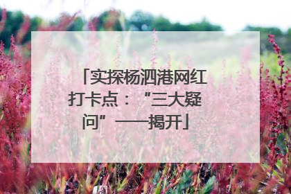 实探杨泗港网红打卡点：“三大疑问”一一揭开