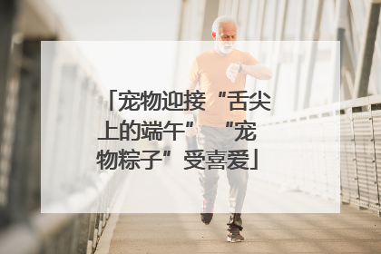 宠物迎接“舌尖上的端午” “宠物粽子”受喜爱