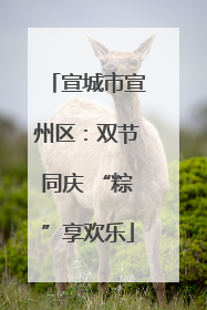 宣城市宣州区：双节同庆 “粽”享欢乐