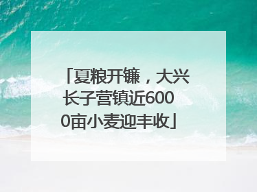 夏粮开镰，大兴长子营镇近6000亩小麦迎丰收