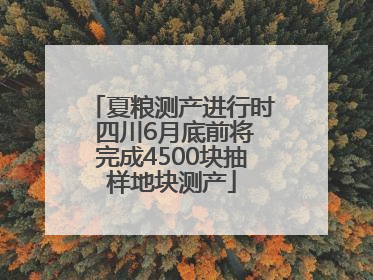 夏粮测产进行时 四川6月底前将完成4500块抽样地块测产