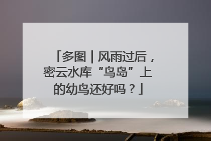 多图｜风雨过后，密云水库“鸟岛”上的幼鸟还好吗？