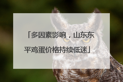 多因素影响，山东东平鸡蛋价格持续低迷