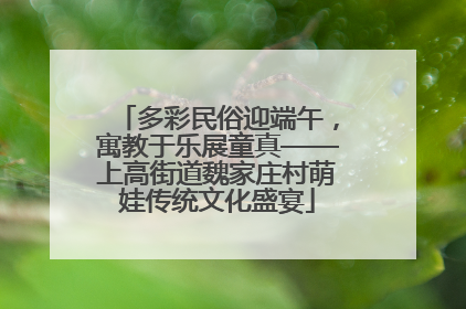 多彩民俗迎端午，寓教于乐展童真——上高街道魏家庄村萌娃传统文化盛宴