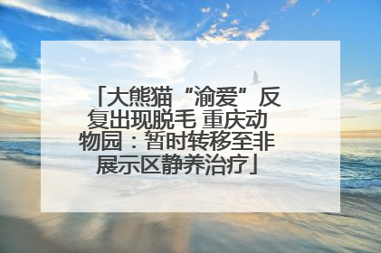大熊猫“渝爱”反复出现脱毛 重庆动物园：暂时转移至非展示区静养治疗