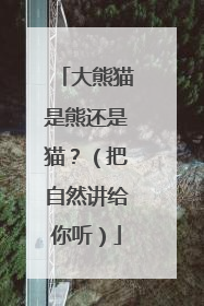 大熊猫是熊还是猫？（把自然讲给你听）