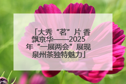 大秀“茗”片 香飘京华——2025年“一展两会”展现泉州茶独特魅力