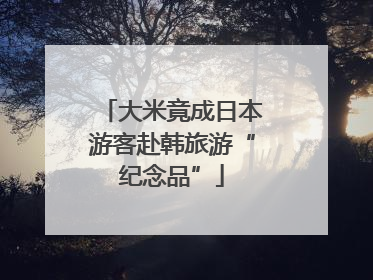 大米竟成日本游客赴韩旅游“纪念品”
