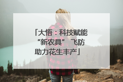 大悟：科技赋能“新农具” 飞防助力花生丰产