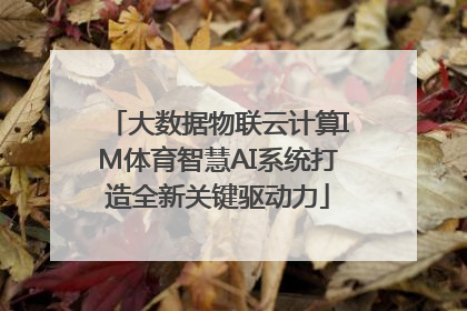 大数据物联云计算IM体育智慧AI系统打造全新关键驱动力