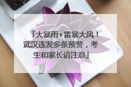 大暴雨+雷暴大风！武汉连发多条预警，考生和家长请注意