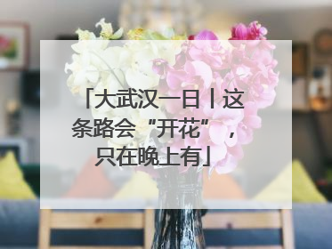 大武汉一日丨这条路会“开花”，只在晚上有