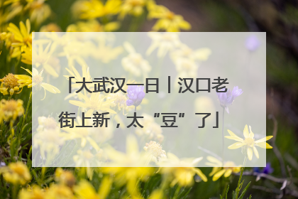 大武汉一日︱汉口老街上新，太“豆”了