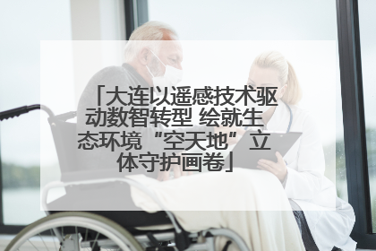 大连以遥感技术驱动数智转型 绘就生态环境“空天地”立体守护画卷