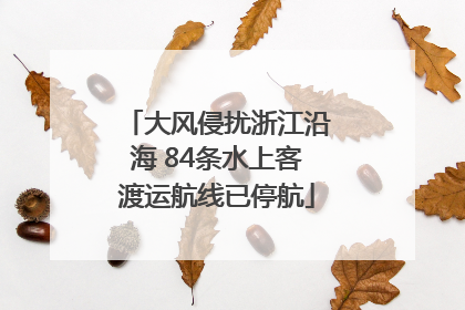 大风侵扰浙江沿海 84条水上客渡运航线已停航