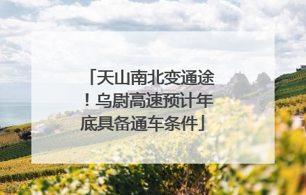 天山南北变通途！乌尉高速预计年底具备通车条件