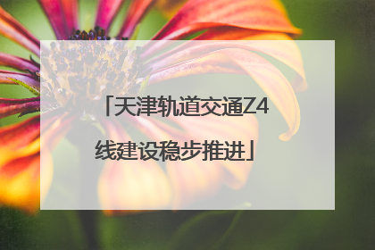 天津轨道交通Z4线建设稳步推进