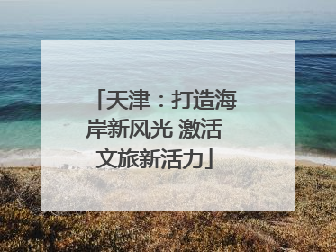 天津：打造海岸新风光 激活文旅新活力