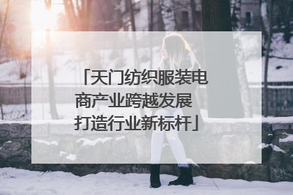 天门纺织服装电商产业跨越发展 打造行业新标杆
