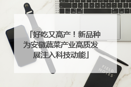 好吃又高产！新品种为安徽蔬菜产业高质发展注入科技动能
